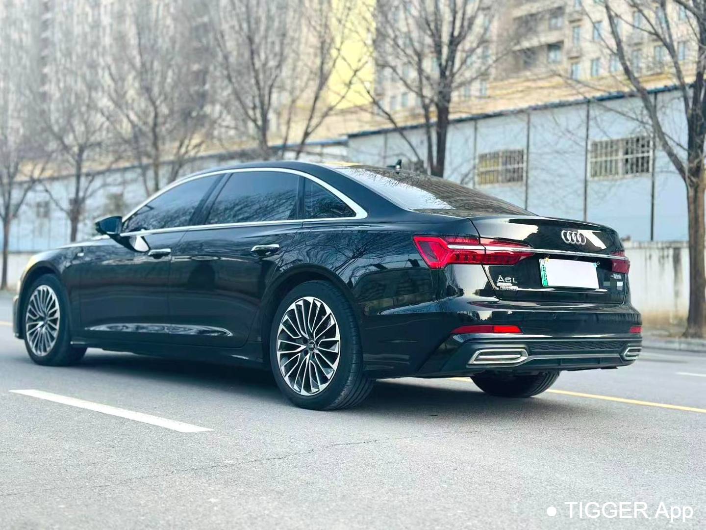 Audi A6L New Energy 2023 A6L e-tron 2.0TFSI 55TFSI e Quattro Automatic Transmission