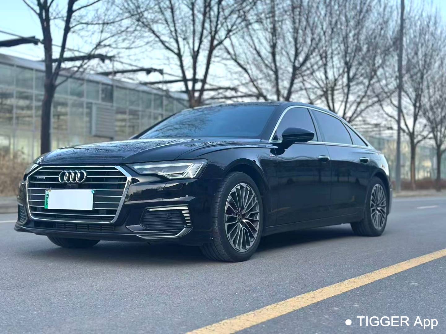 Audi A6L New Energy 2023 A6L e-tron 2.0TFSI 55TFSI e Quattro Automatic Transmission