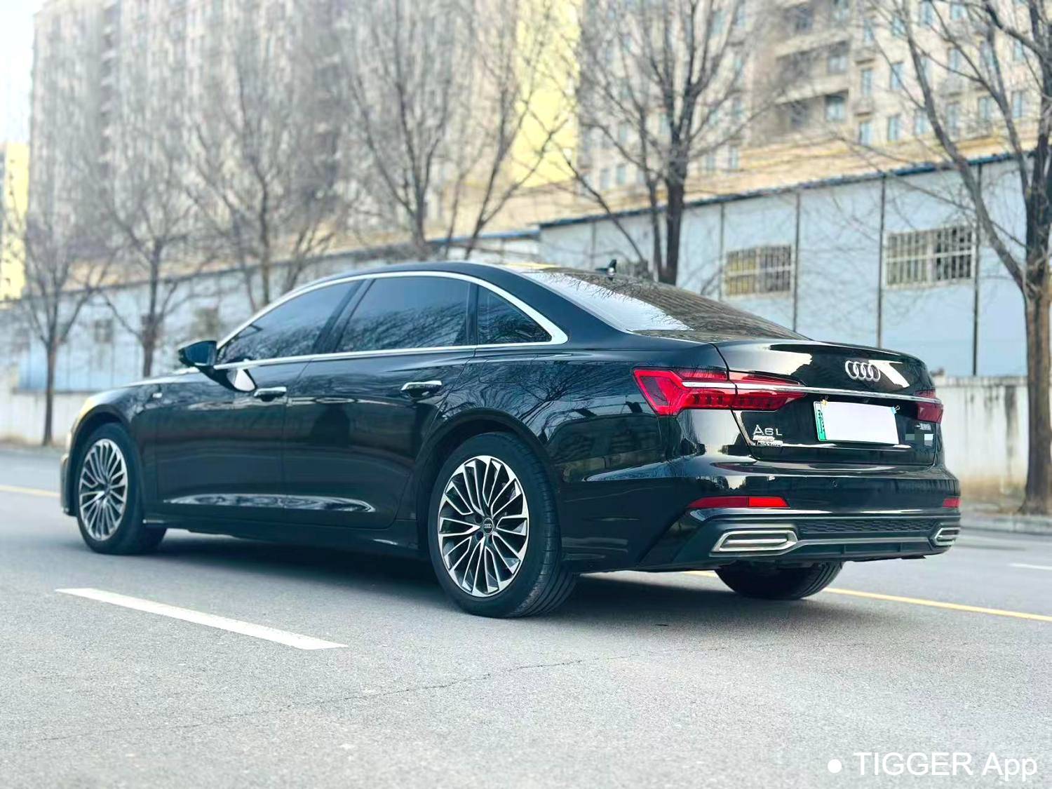 Audi A6L New Energy 2023 A6L e-tron 2.0TFSI 55TFSI e Quattro Automatic Transmission