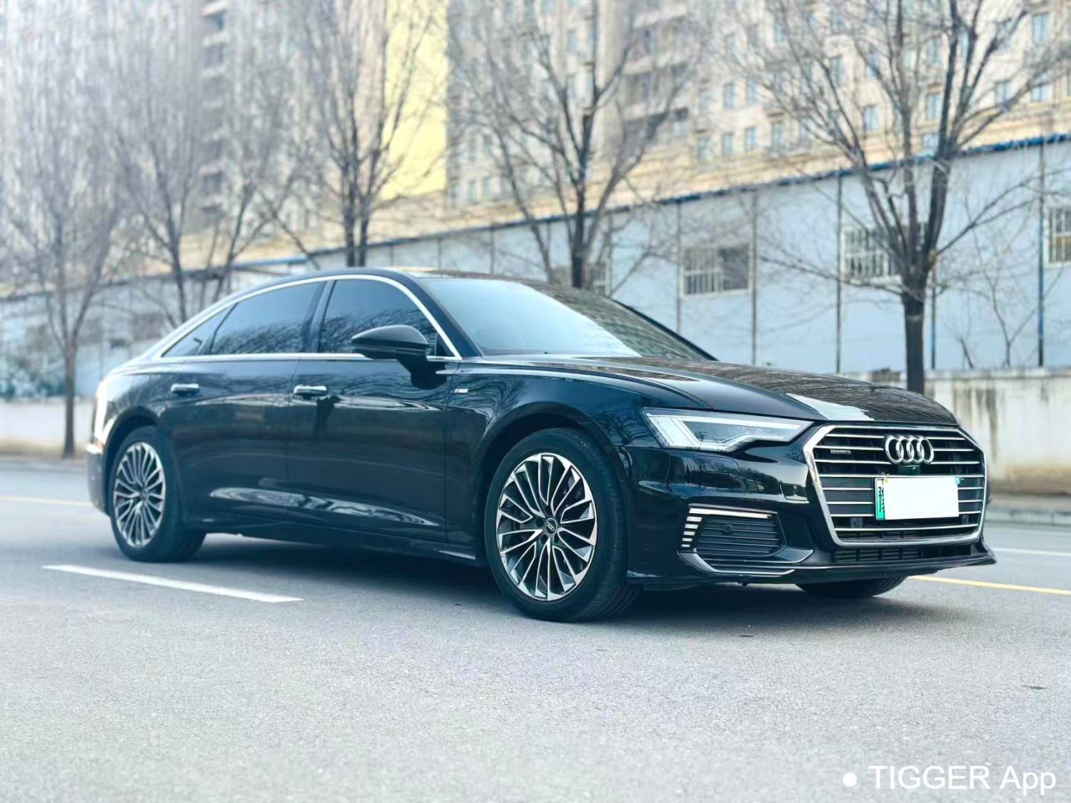 Audi A6L New Energy 2023 A6L e-tron 2.0TFSI 55TFSI e Quattro Automatic Transmission
