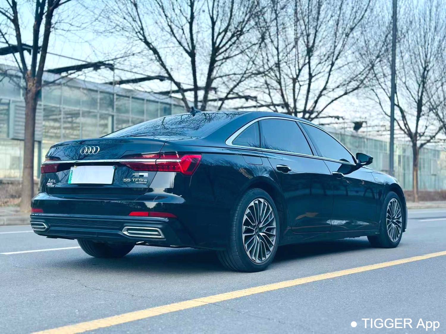 Audi A6L New Energy 2023 A6L e-tron 2.0TFSI 55TFSI e Quattro Automatic Transmission