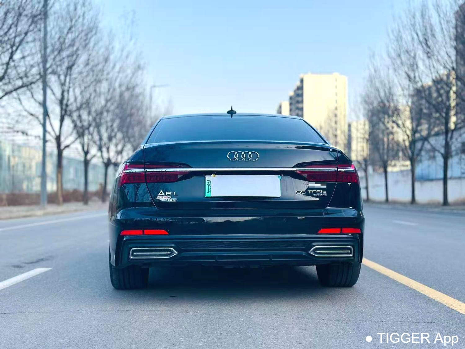 Audi A6L New Energy 2023 A6L e-tron 2.0TFSI 55TFSI e Quattro Automatic Transmission