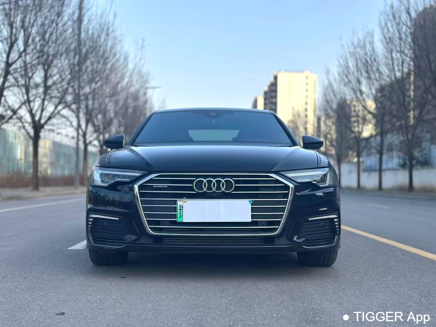 Audi A6L New Energy 2023 A6L e-tron 2.0TFSI 55TFSI e Quattro Automatic Transmission