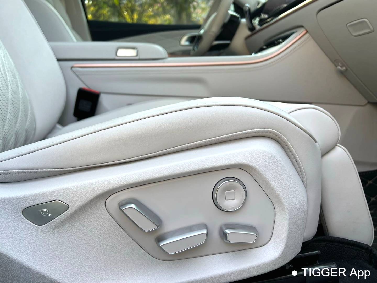 NETA 2024 NETA L 220 Premium Edition Automatic Transmission