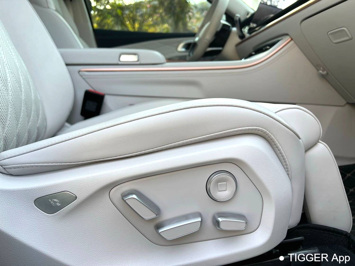 used NETA 2024 NETA L 220 Premium Edition Automatic Transmission