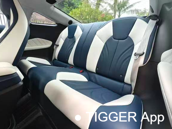  NETA  2023 NETA GT 560 Automatic Transmission