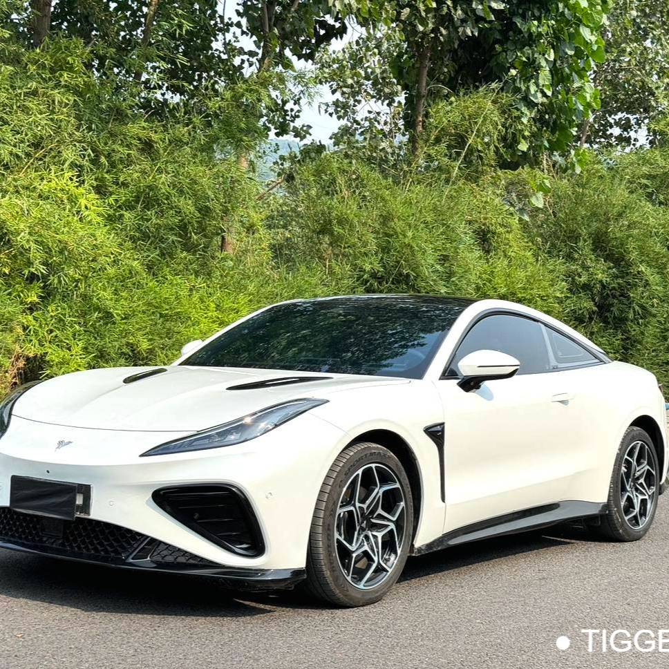 NETA  2023 NETA  GT 560 Automatic Transmission Used Car