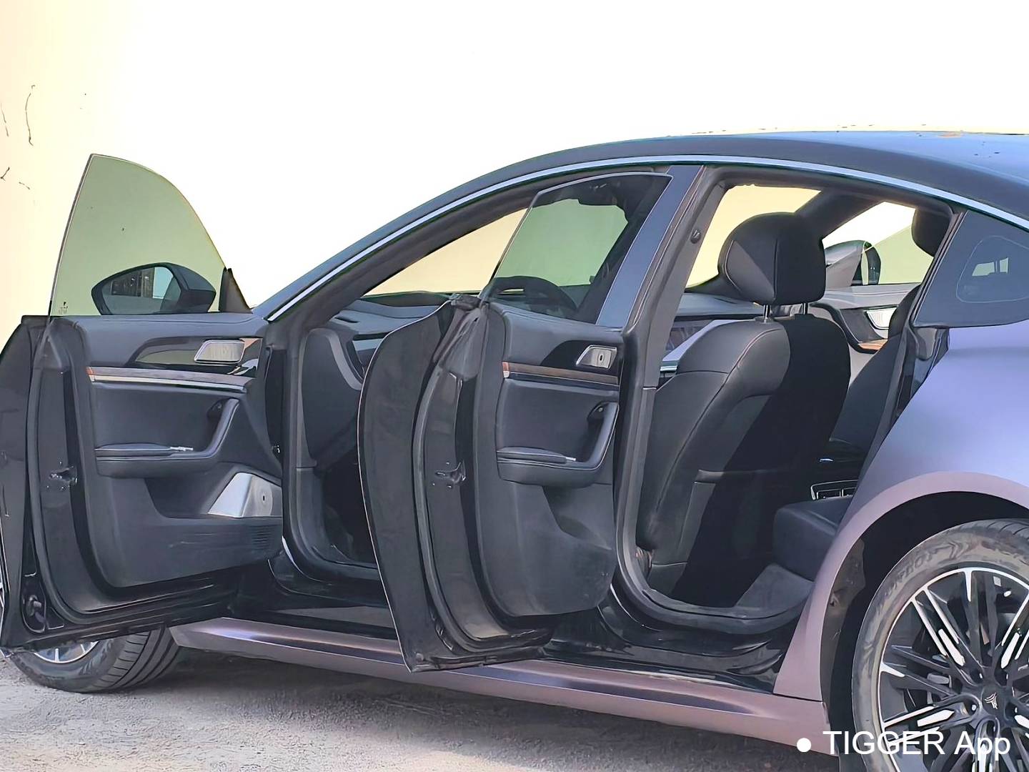 NETA  2024 NETA  S 520km rear wheel drive AR-HUD version automatic transmission