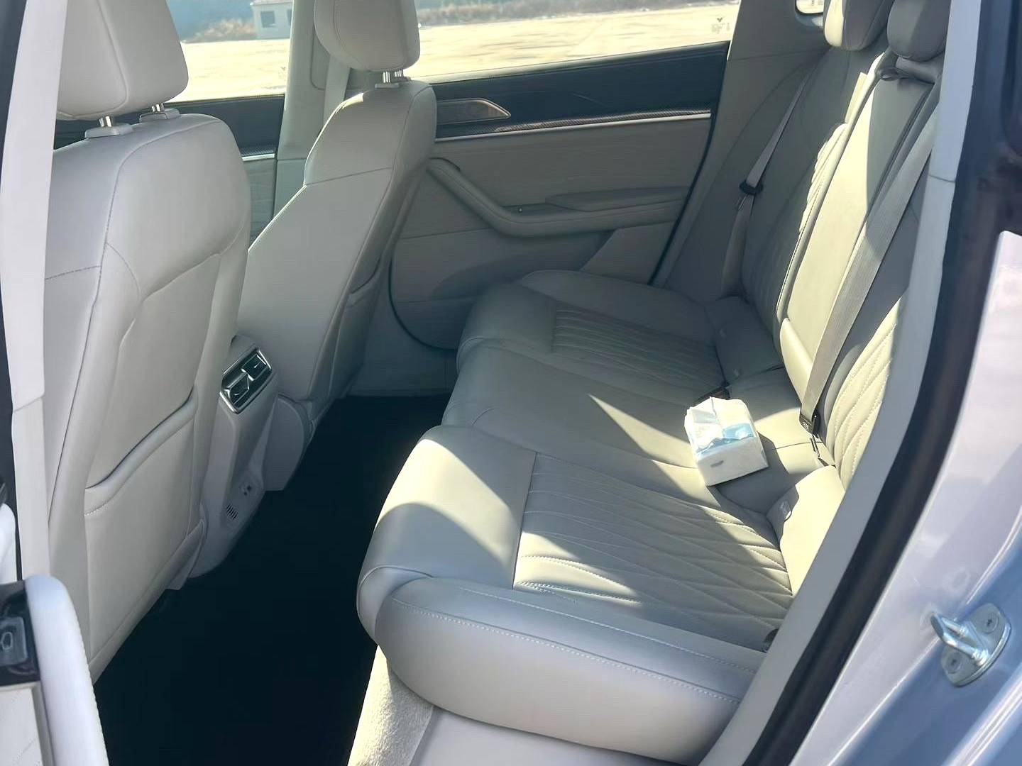 NETA  2024 NETA  S Hunting Gear 300 Standard Edition Automatic Transmission