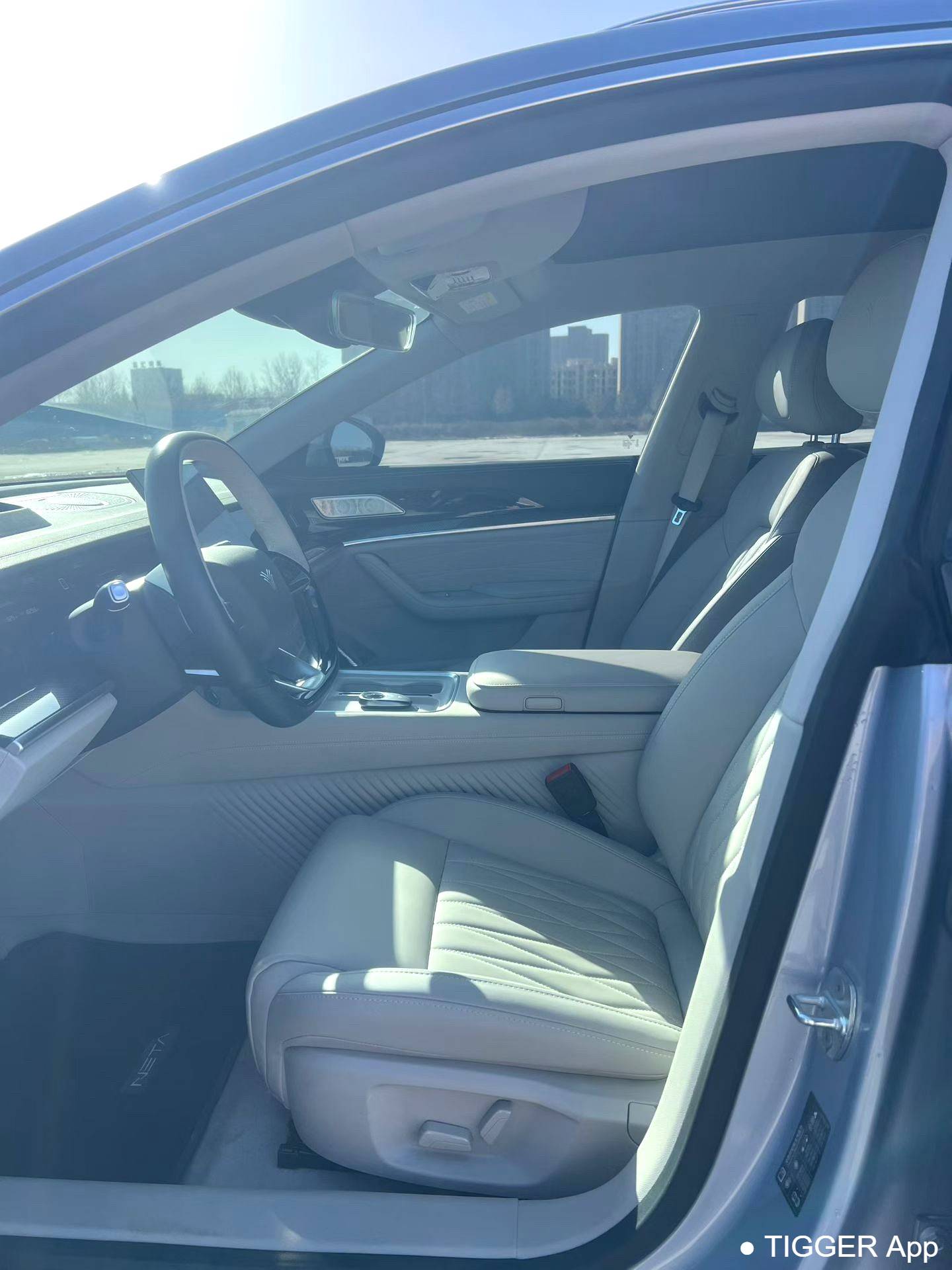 used NETA  2024 NETA  S Hunting Gear 300 Standard Edition Automatic Transmission