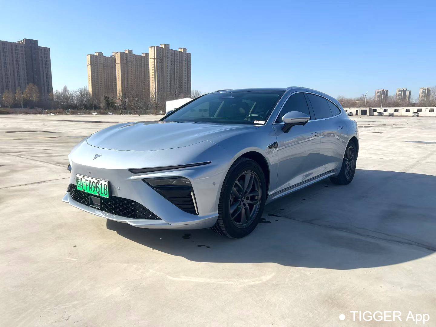 used NETA  2024 NETA  S Hunting Gear 300 Standard Edition Automatic Transmission