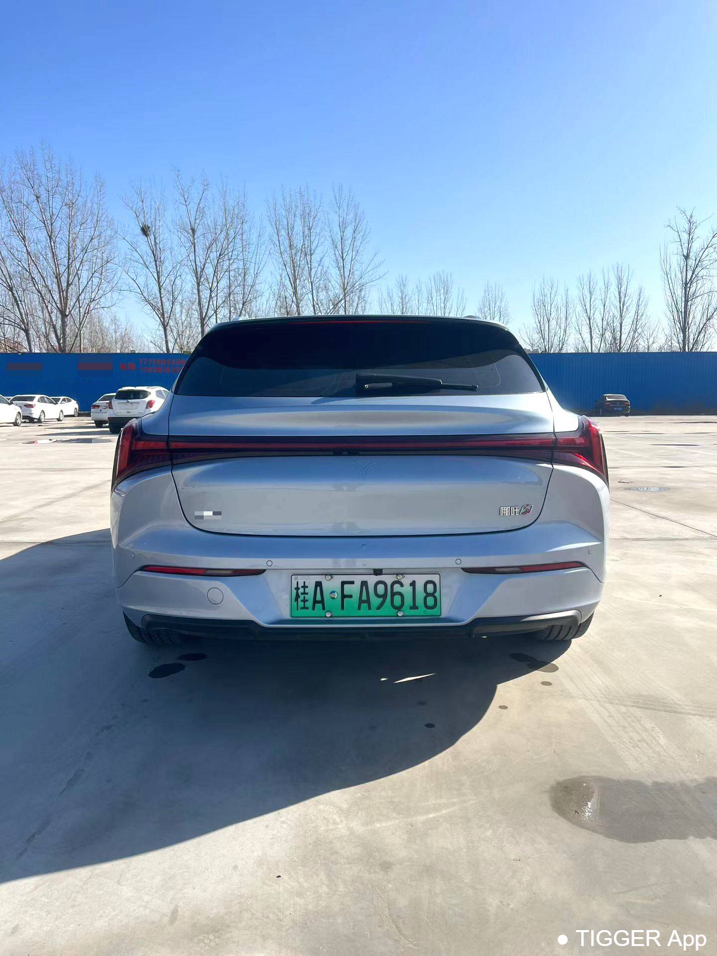 used NETA  2024 NETA  S Hunting Gear 300 Standard Edition Automatic Transmission