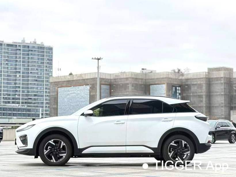 NETA 2023 NETA X 400 Automatic Transmission