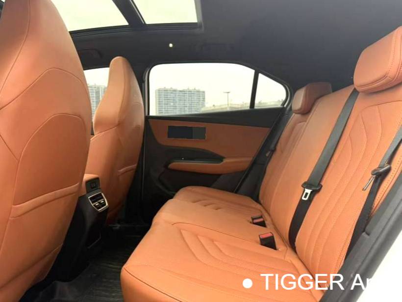 NETA 2023 NETA X 400 Automatic Transmission