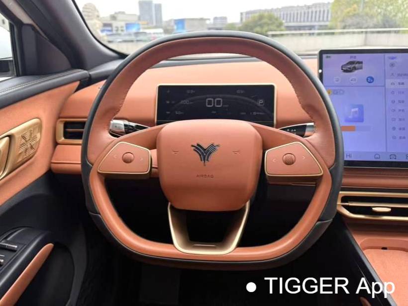 NETA 2023 NETA X 400 Automatic Transmission