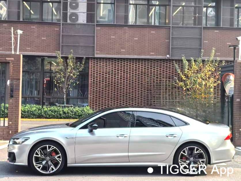 Audi 2022 A7L 2.0TFSI 45TFSI Quattro S-line Paladin Automatic Transmission