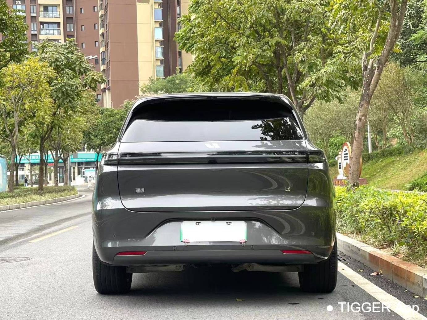 Li Auto 2024 L6 Pro Automatic Transmission