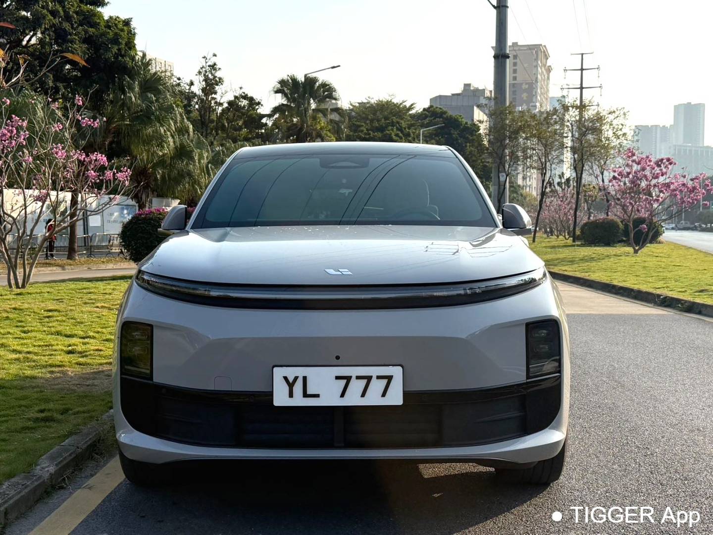 Li Auto 2024 L6 Pro Automatic Transmission