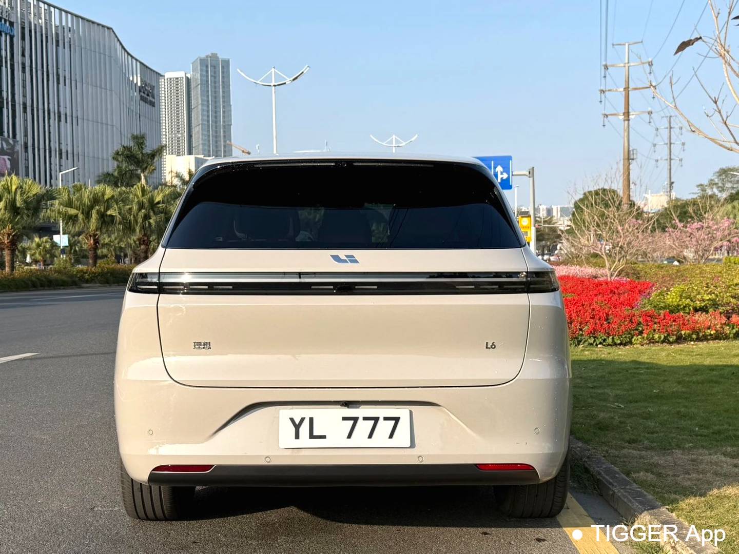 Li Auto 2024 L6 Pro Automatic Transmission