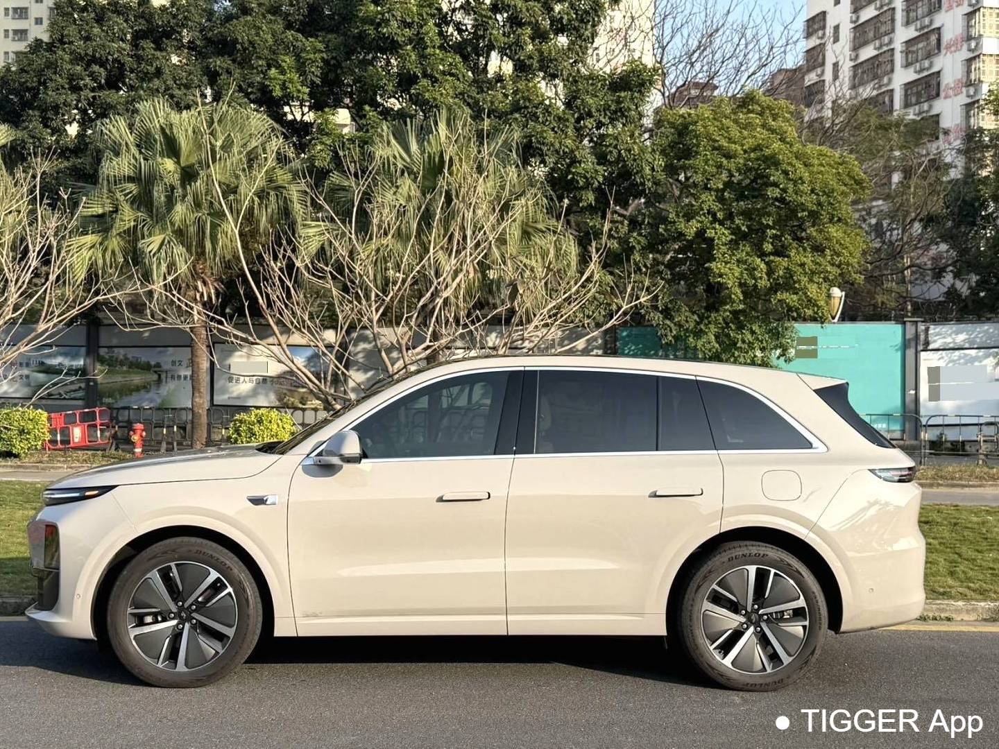 Li Auto 2024 L6 Pro Automatic Transmission