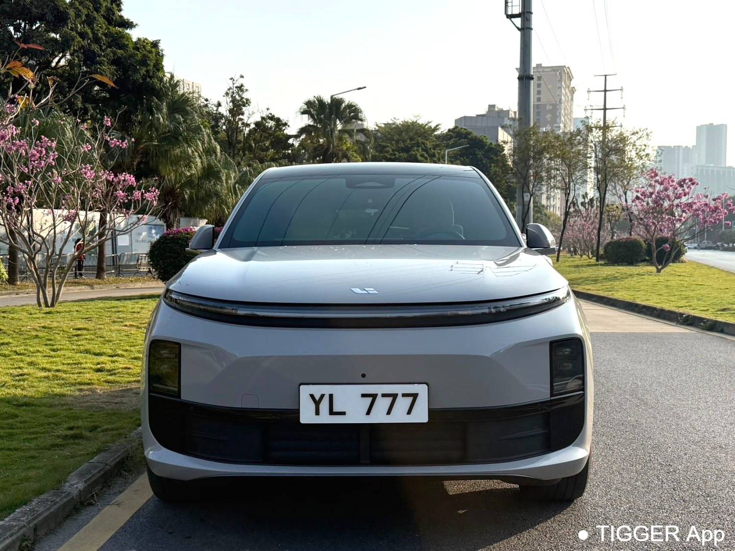 Li Auto 2024 L6 Pro Automatic Transmission