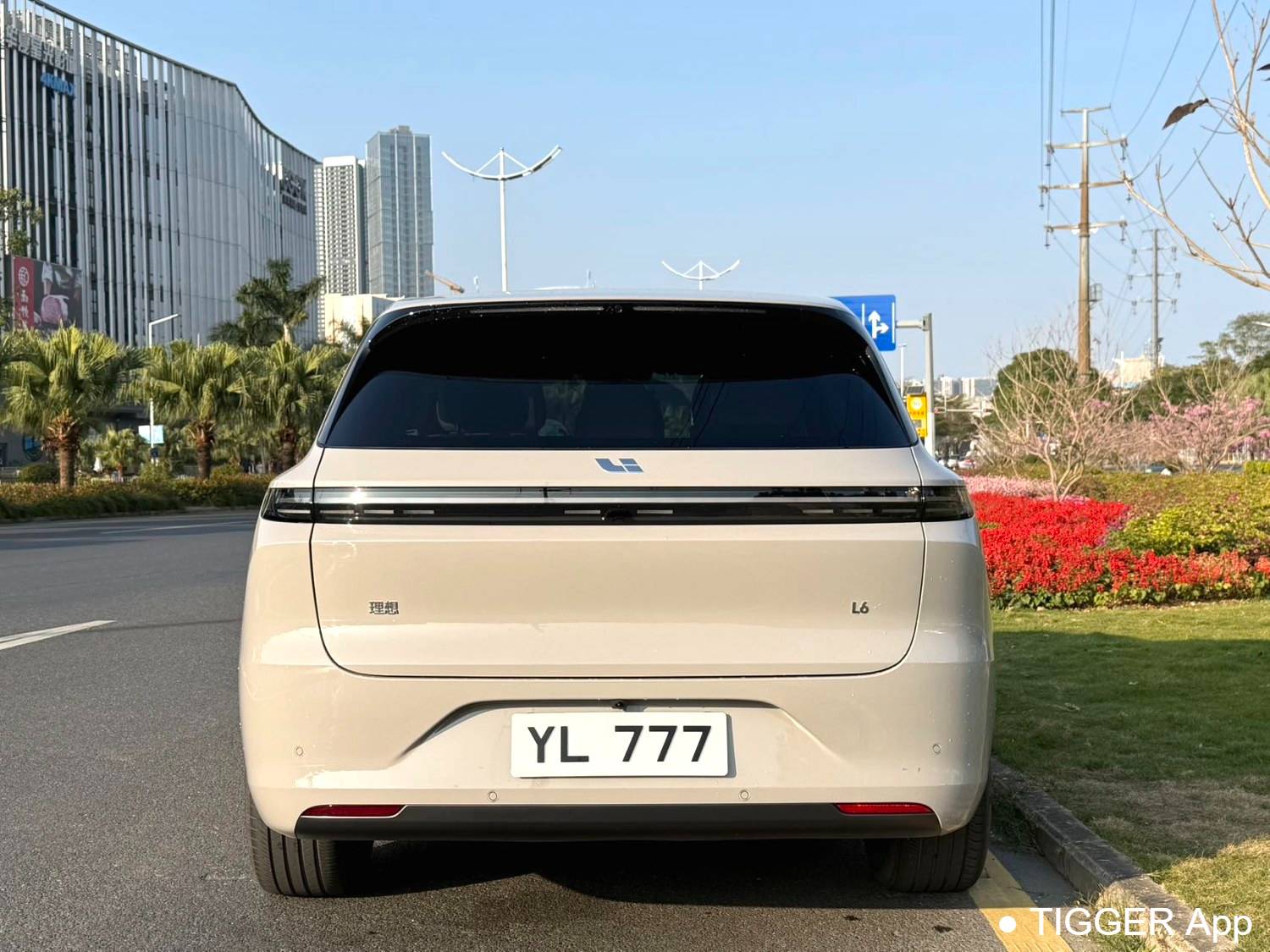 Li Auto 2024 L6 Pro Automatic Transmission