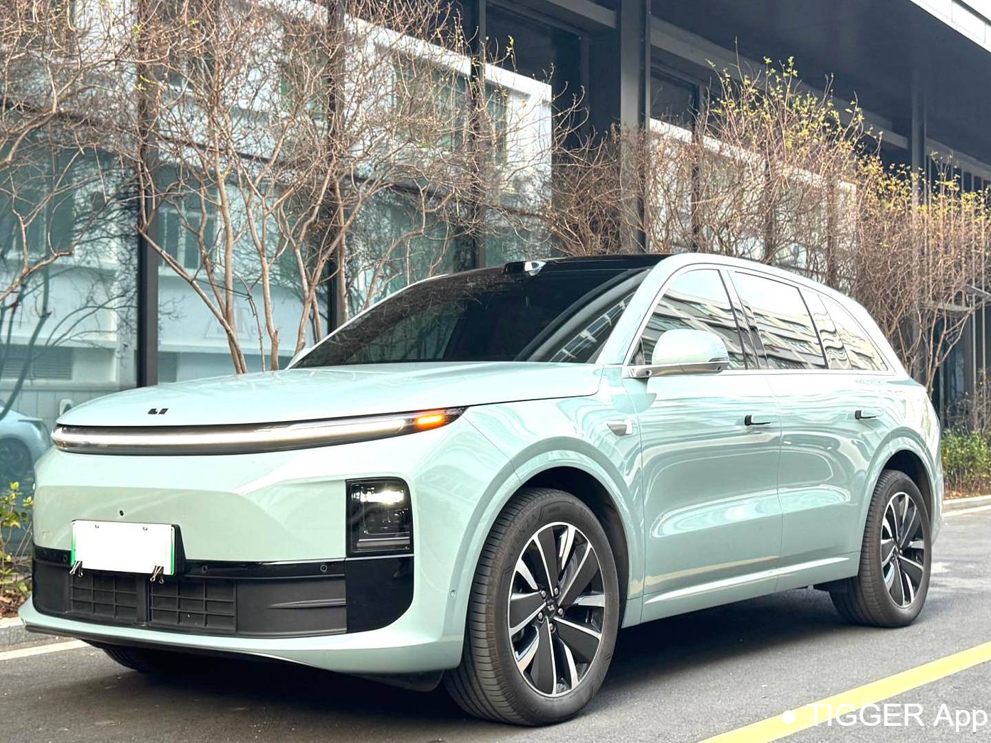 Li Auto 2025 L6 Pro Intelligent Renewal Version Automatic Transmission