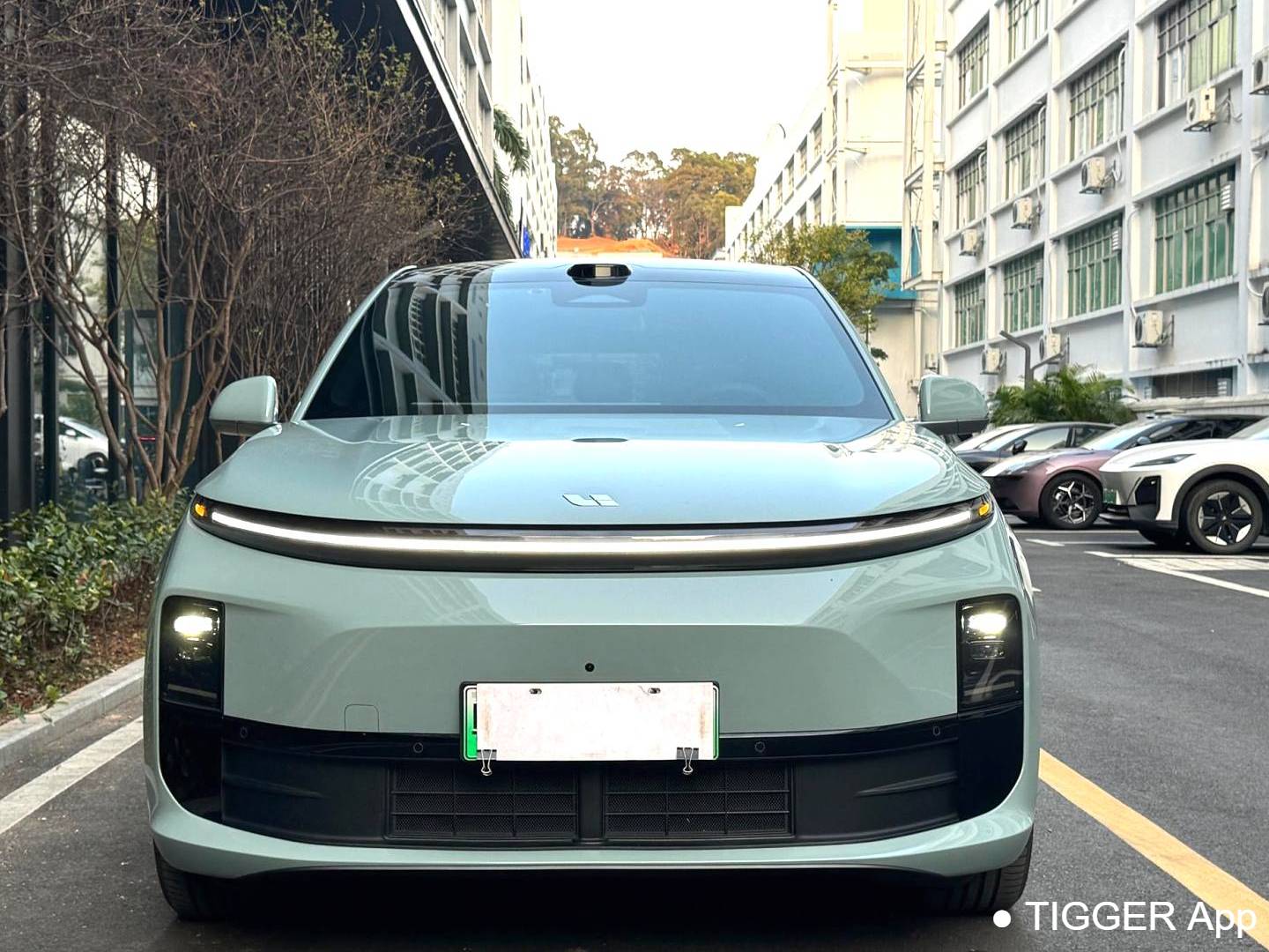 Li Auto 2025 L6 Pro Intelligent Renewal Version Automatic Transmission