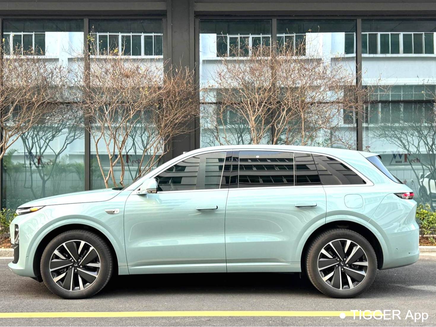 Li Auto 2025 L6 Pro Intelligent Renewal Version Automatic Transmission