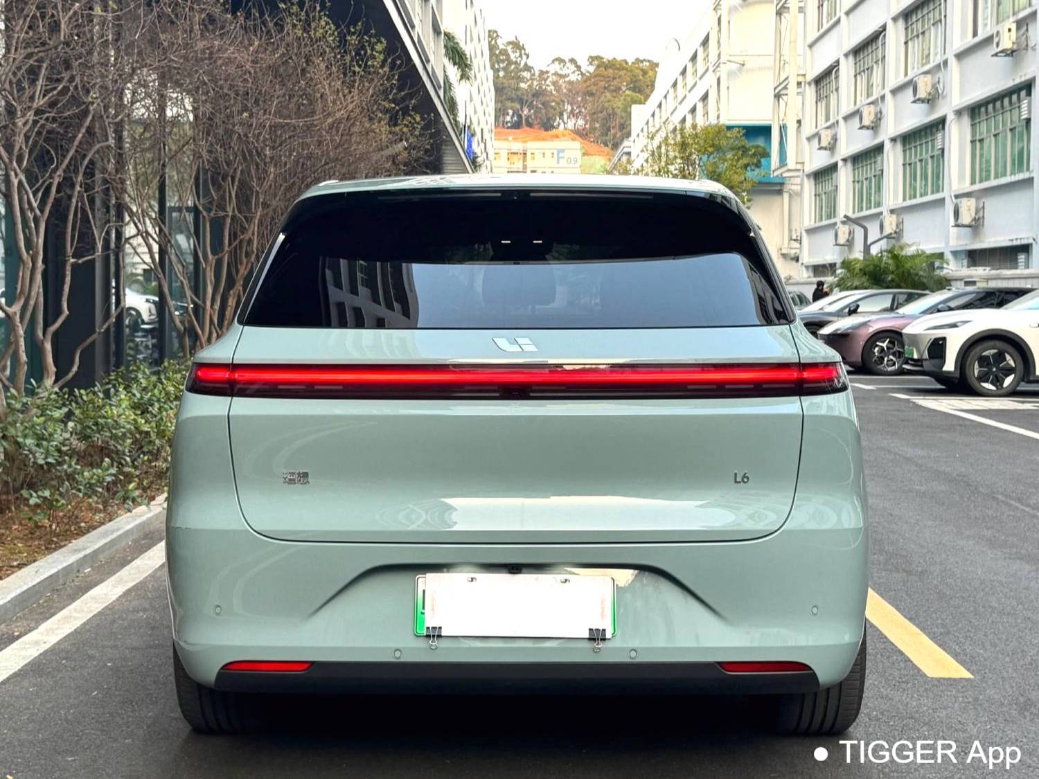 Li Auto 2025 L6 Pro Intelligent Renewal Version Automatic Transmission