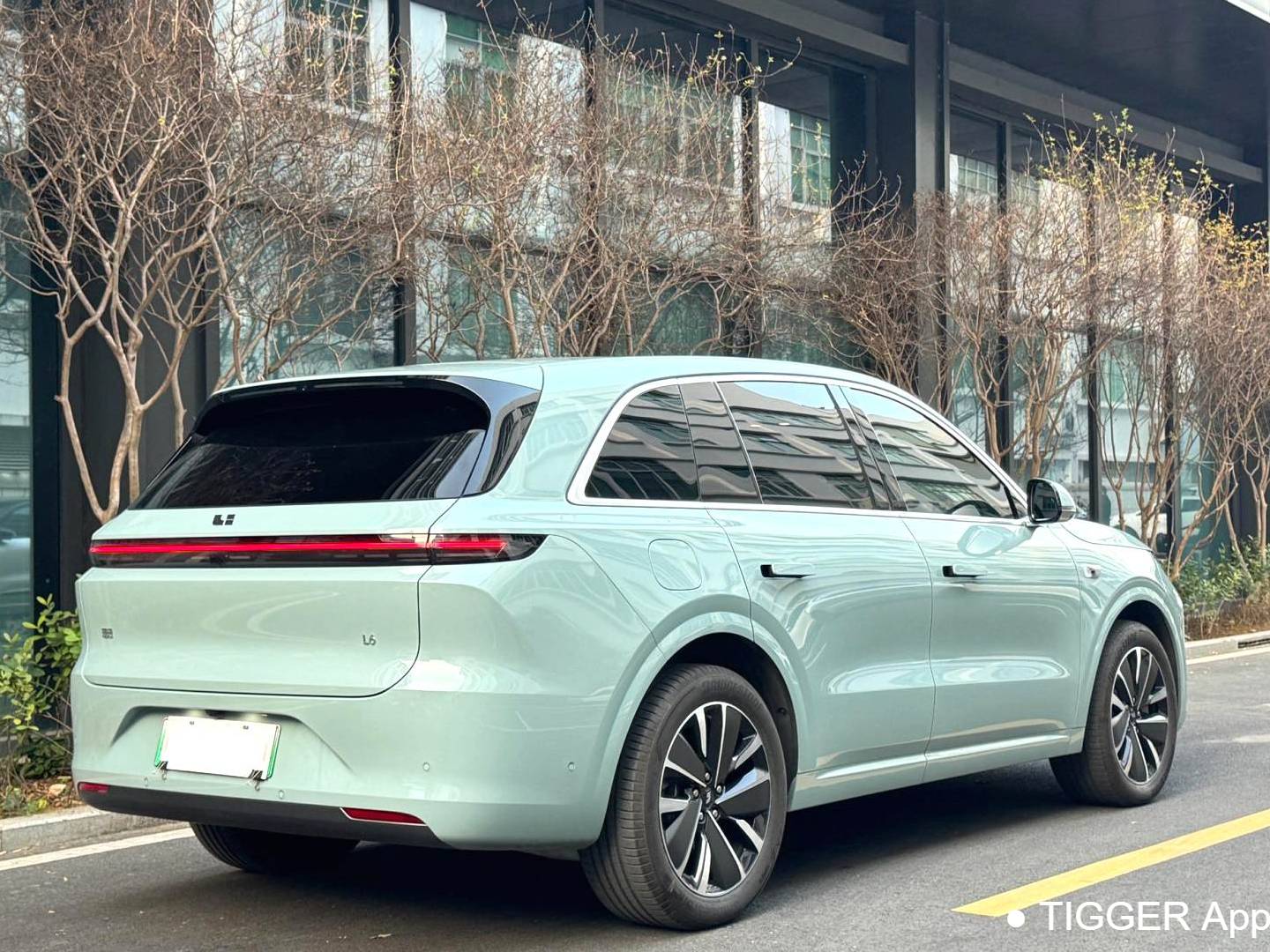 Li Auto 2025 L6 Pro Intelligent Renewal Version Automatic Transmission