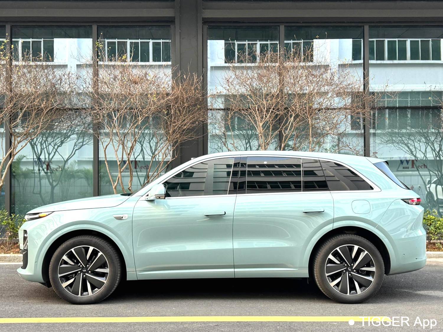 Li Auto 2025 L6 Pro Intelligent Renewal Version Automatic Transmission