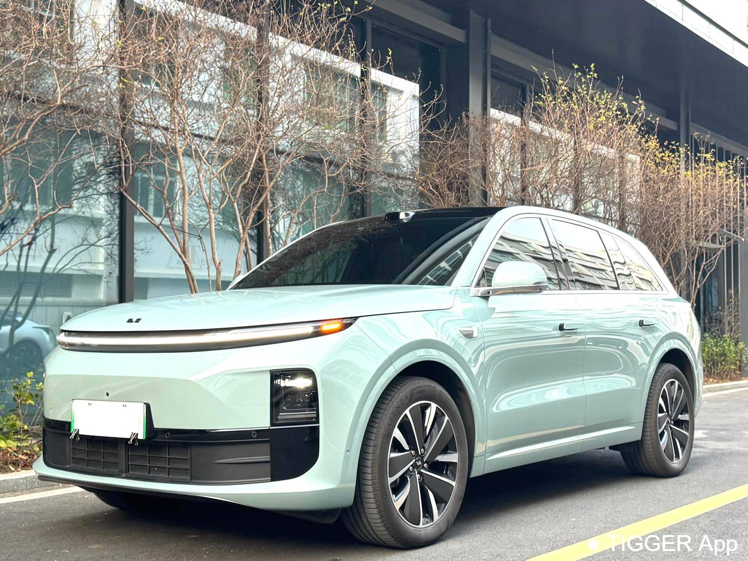 Li Auto 2025 L6 Pro Intelligent Renewal Version Automatic Transmission