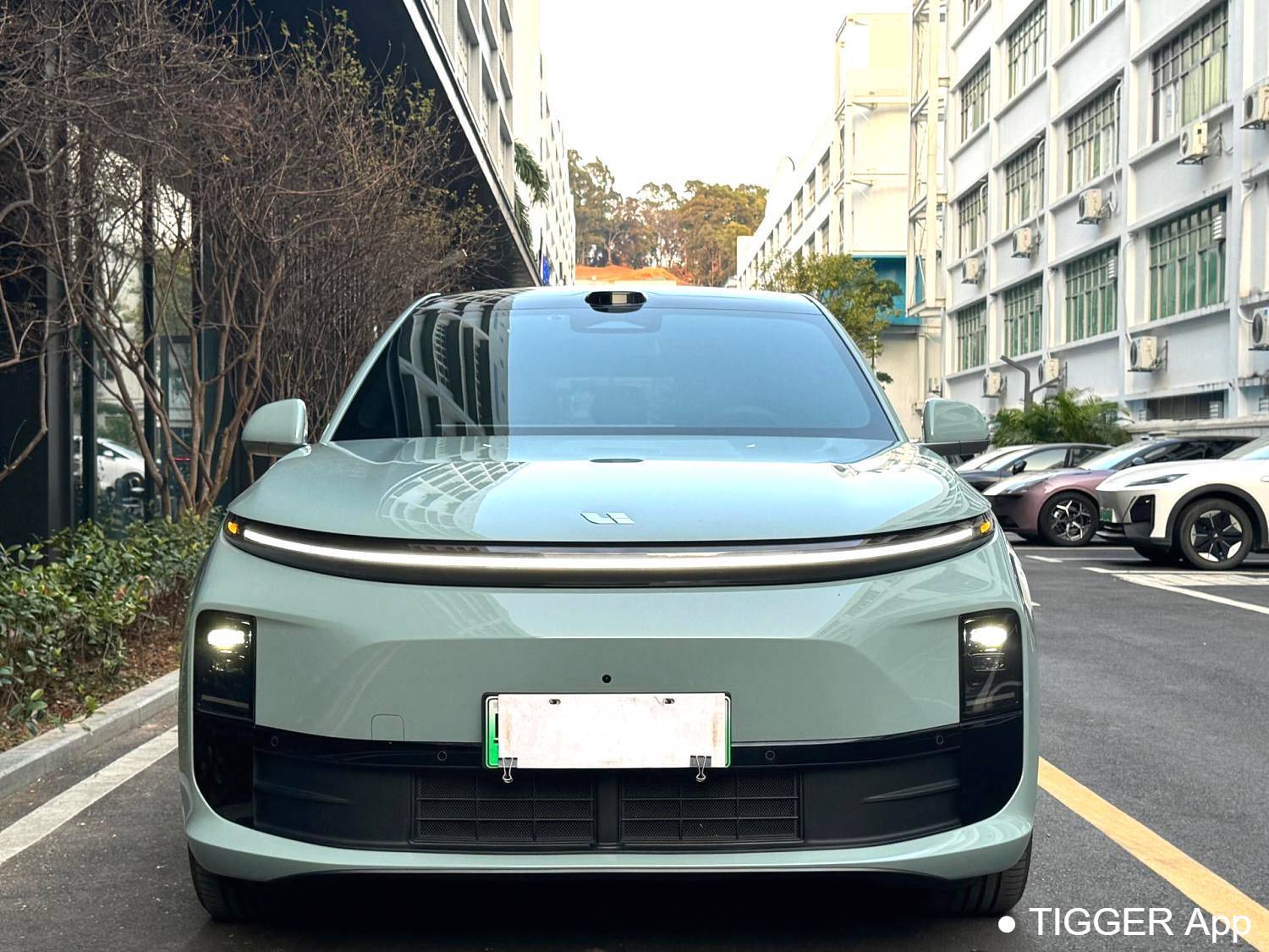 Li Auto 2025 L6 Pro Intelligent Renewal Version Automatic Transmission