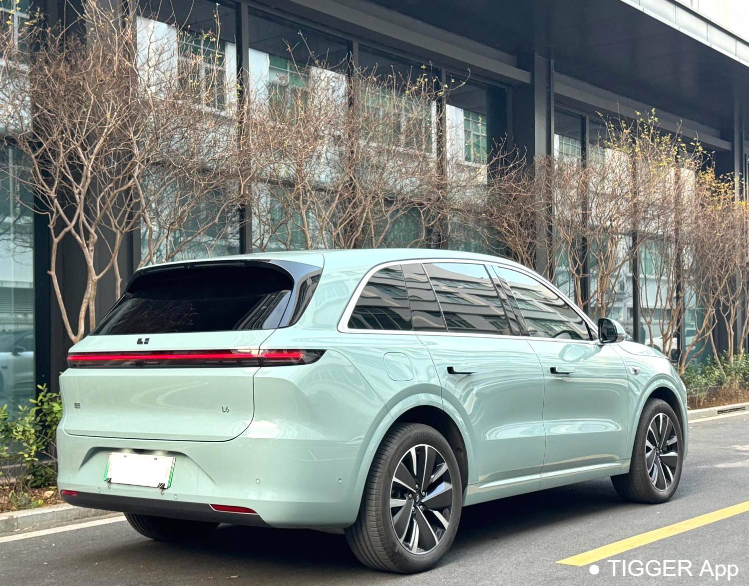 Li Auto 2025 L6 Pro Intelligent Renewal Version Automatic Transmission