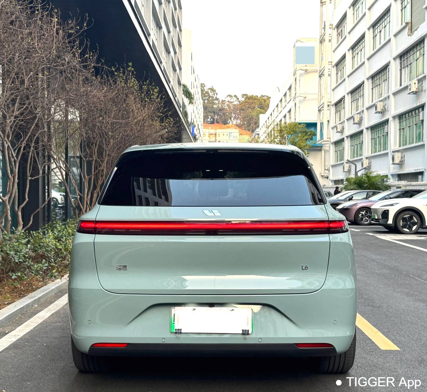 Li Auto 2025 L6 Pro Intelligent Renewal Version Automatic Transmission