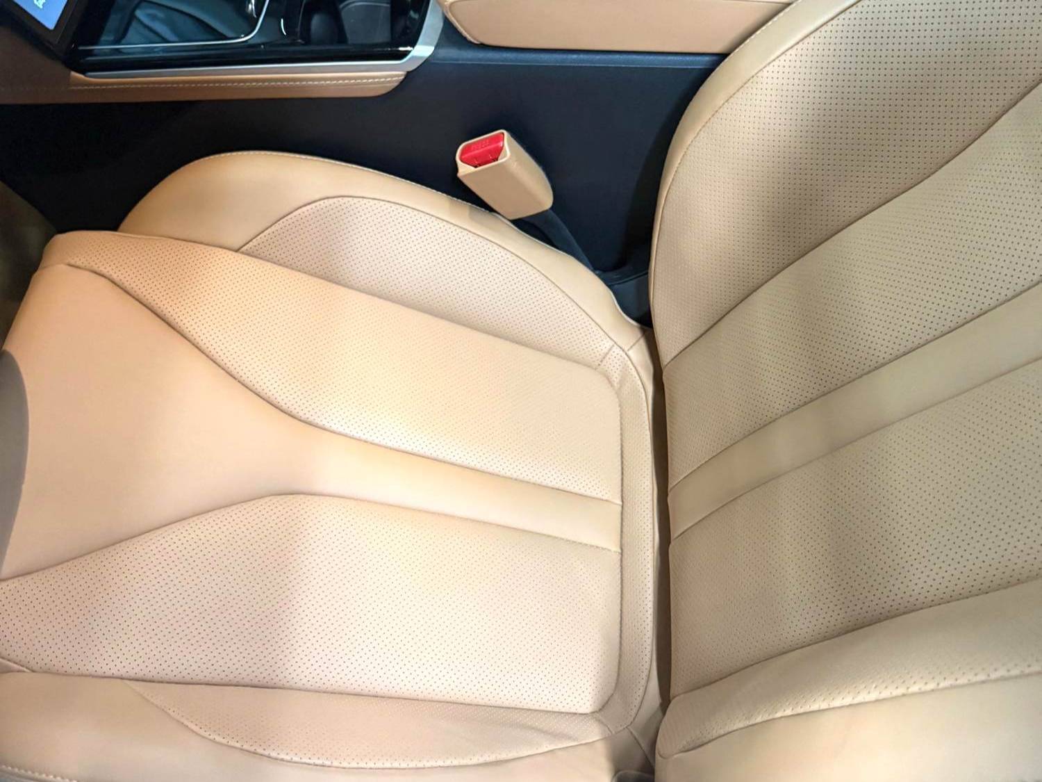 XPENG  2022 P5 460E+Automatic Transmission