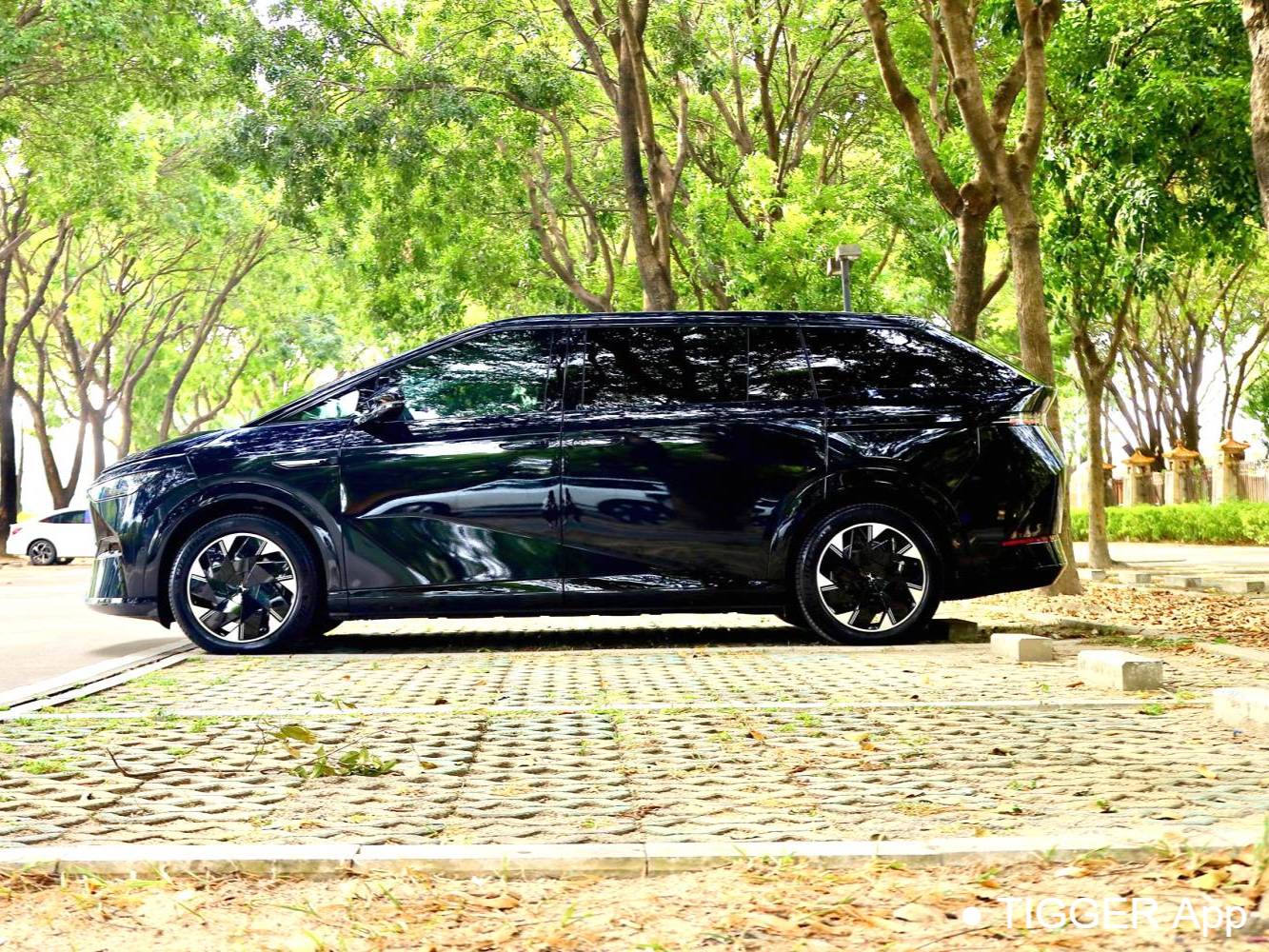 XPENG 2024 Model X9 702 Ultra-Long Range Max Automatic