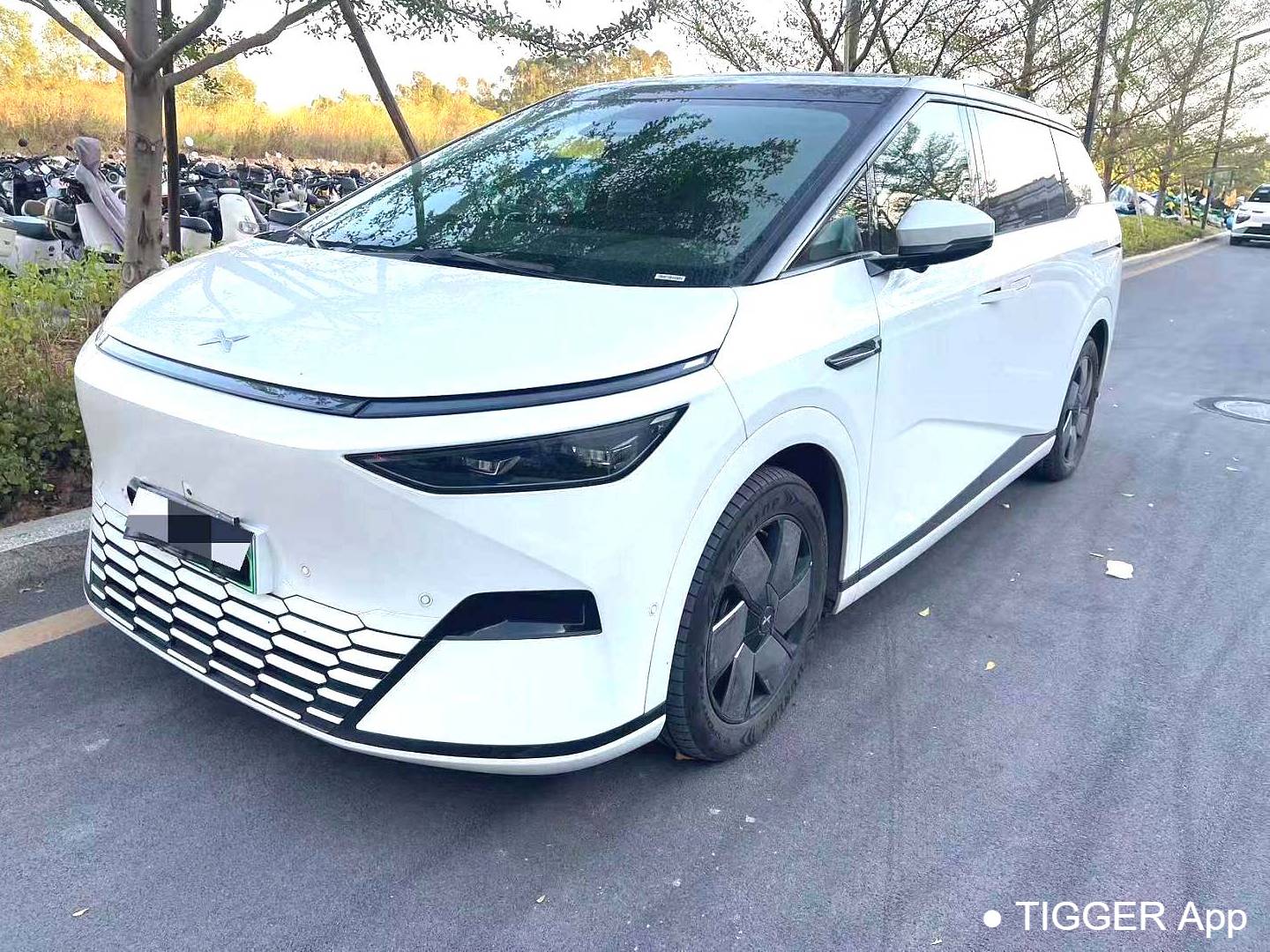 XPENG  2024 X9 610 Long Range Pro Automatic Transmission