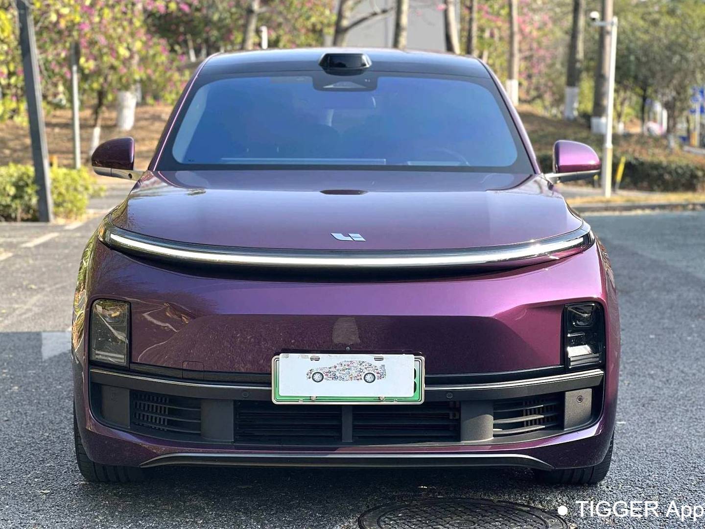 Li Auto 2022 L9 1.5T Max Automatic Transmission