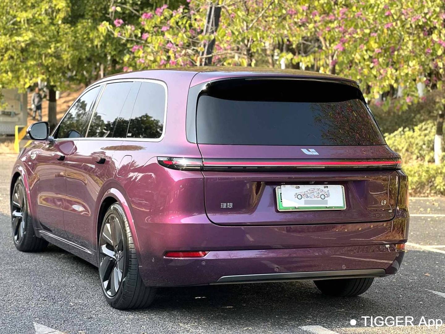 Li Auto 2022 L9 1.5T Max Automatic Transmission