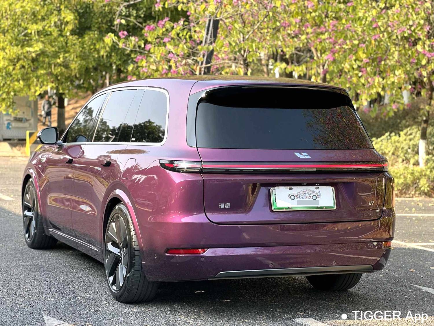 Li Auto 2022 L9 1.5T Max Automatic Transmission