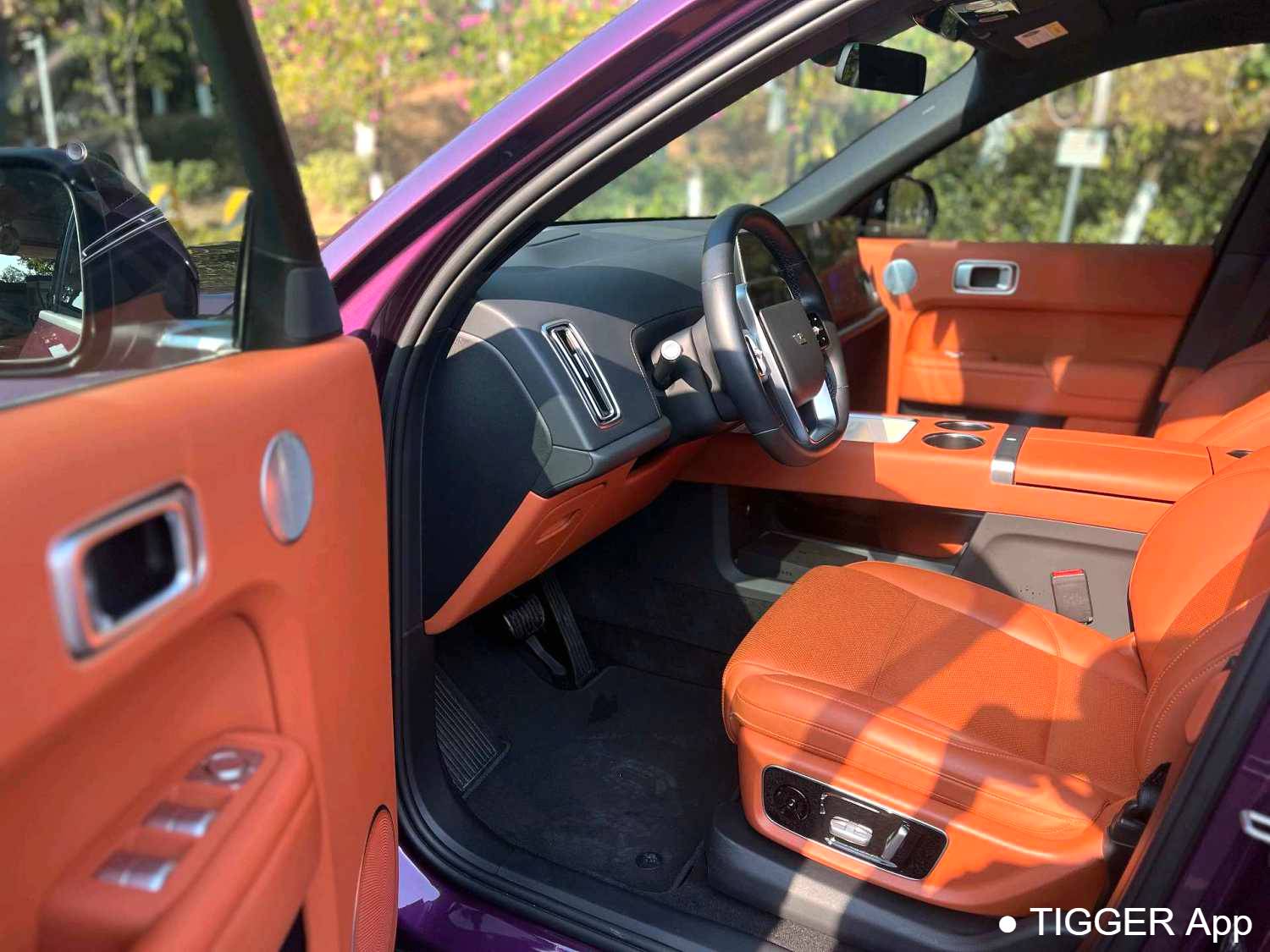 Li Auto 2022 L9 1.5T Max Automatic Transmission