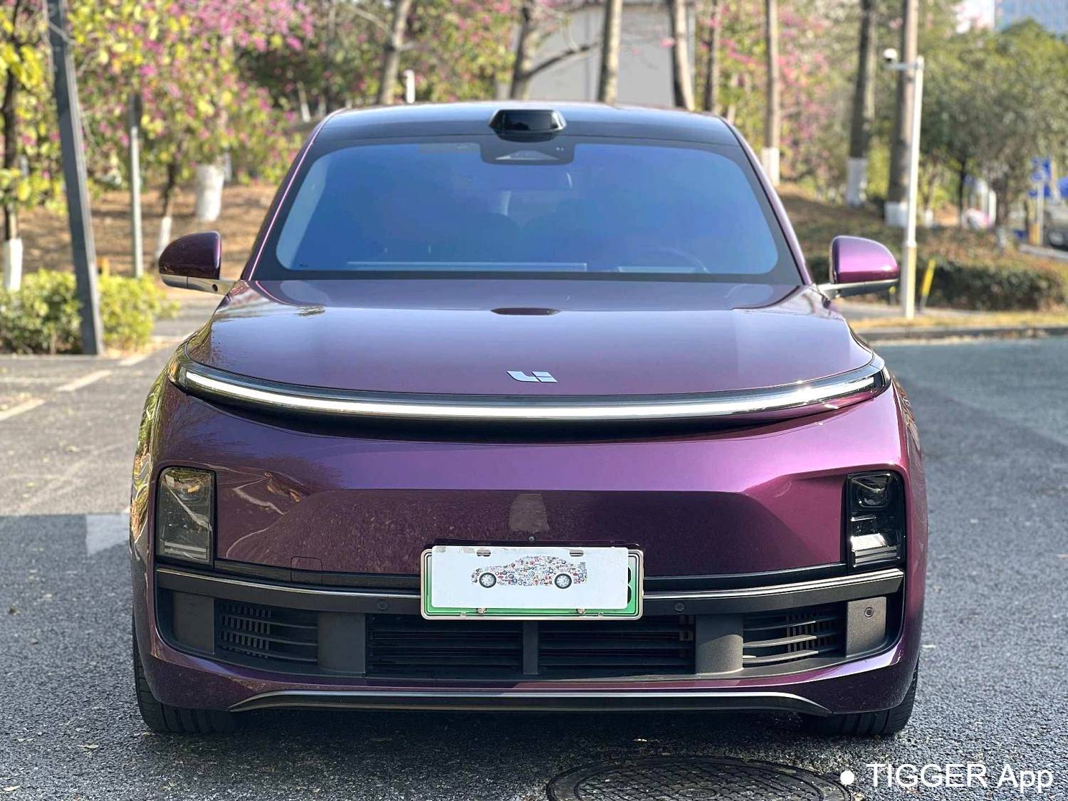 Li Auto 2022 L9 1.5T Max Automatic Transmission