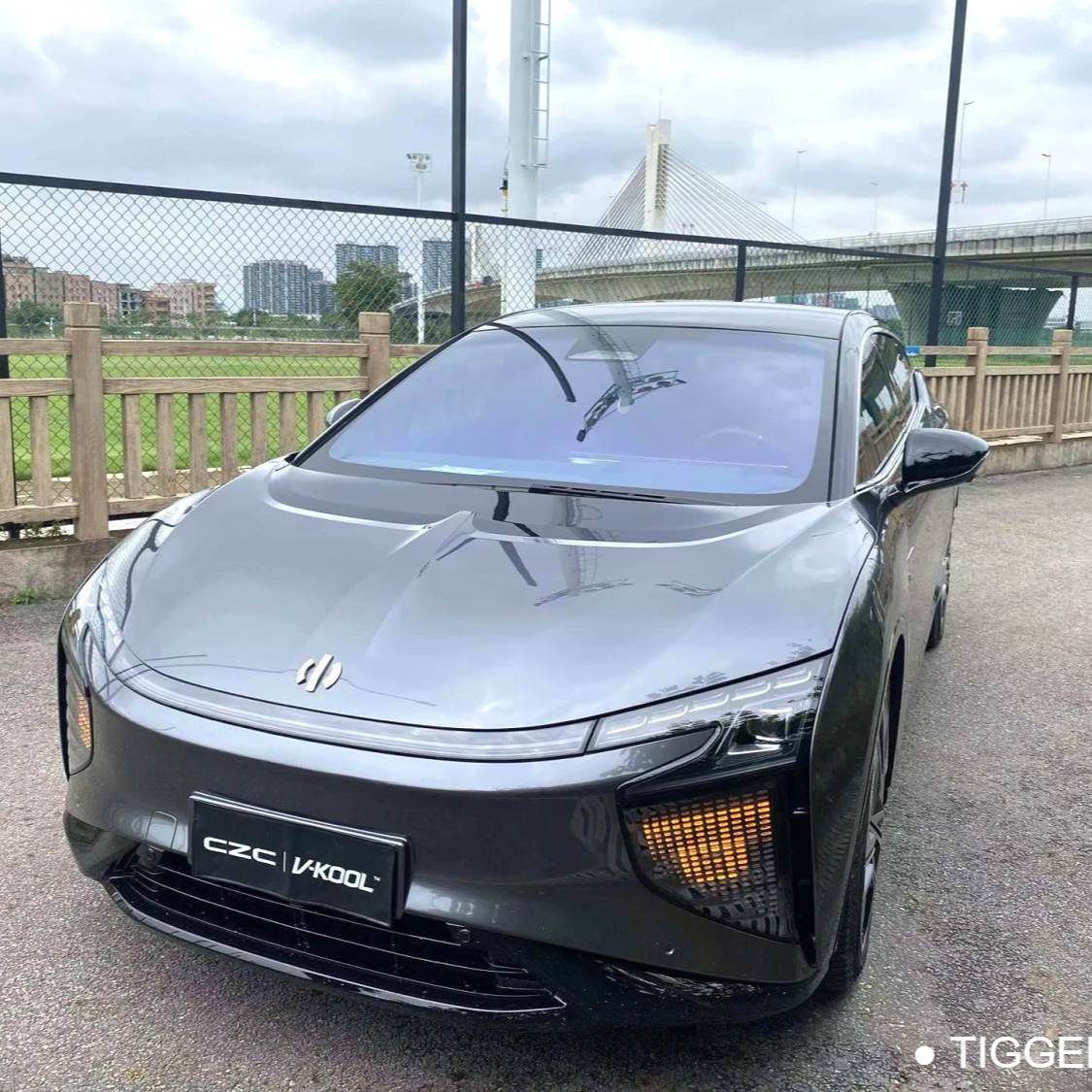 HiPhi X 2022 HiPhi X Creative Edition 6-seater long endurance automatic transmission Used Car