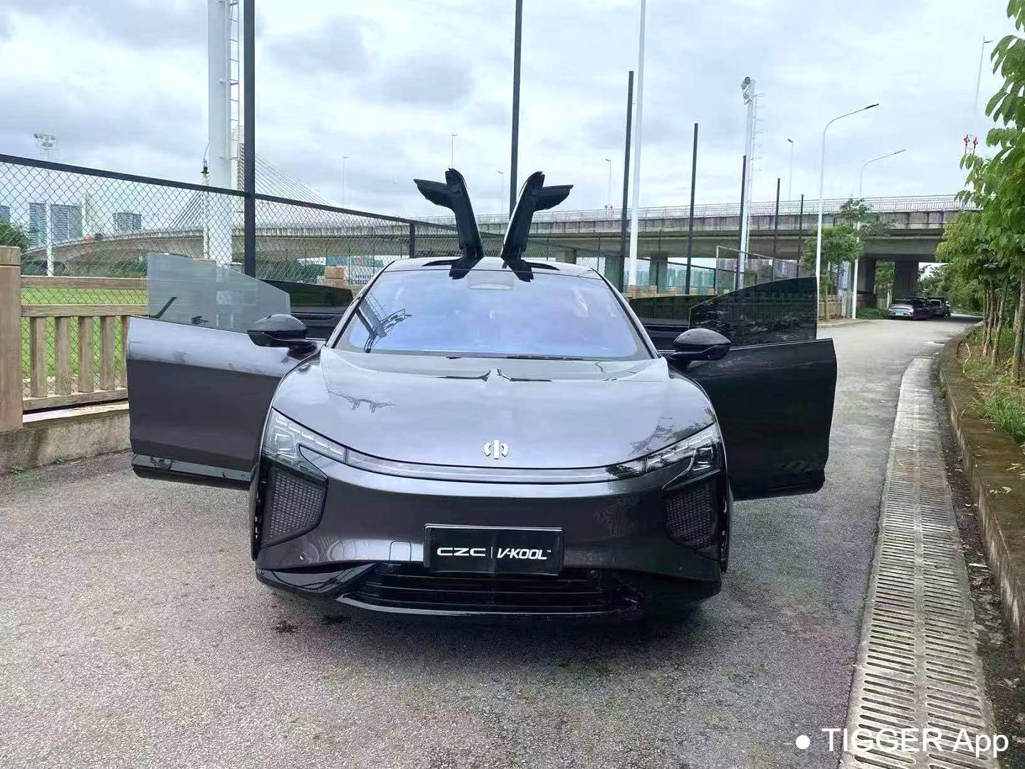 HiPhi X 2022 HiPhi X Creative Edition 6-seater long endurance automatic transmission