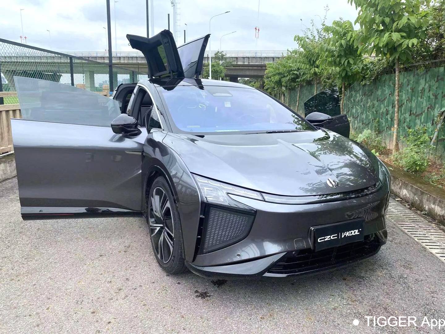 HiPhi X 2022 HiPhi X Creative Edition 6-seater long endurance automatic transmission