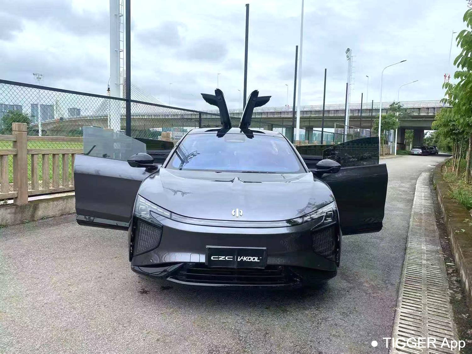 HiPhi X 2022 HiPhi X Creative Edition 6-seater long endurance automatic transmission