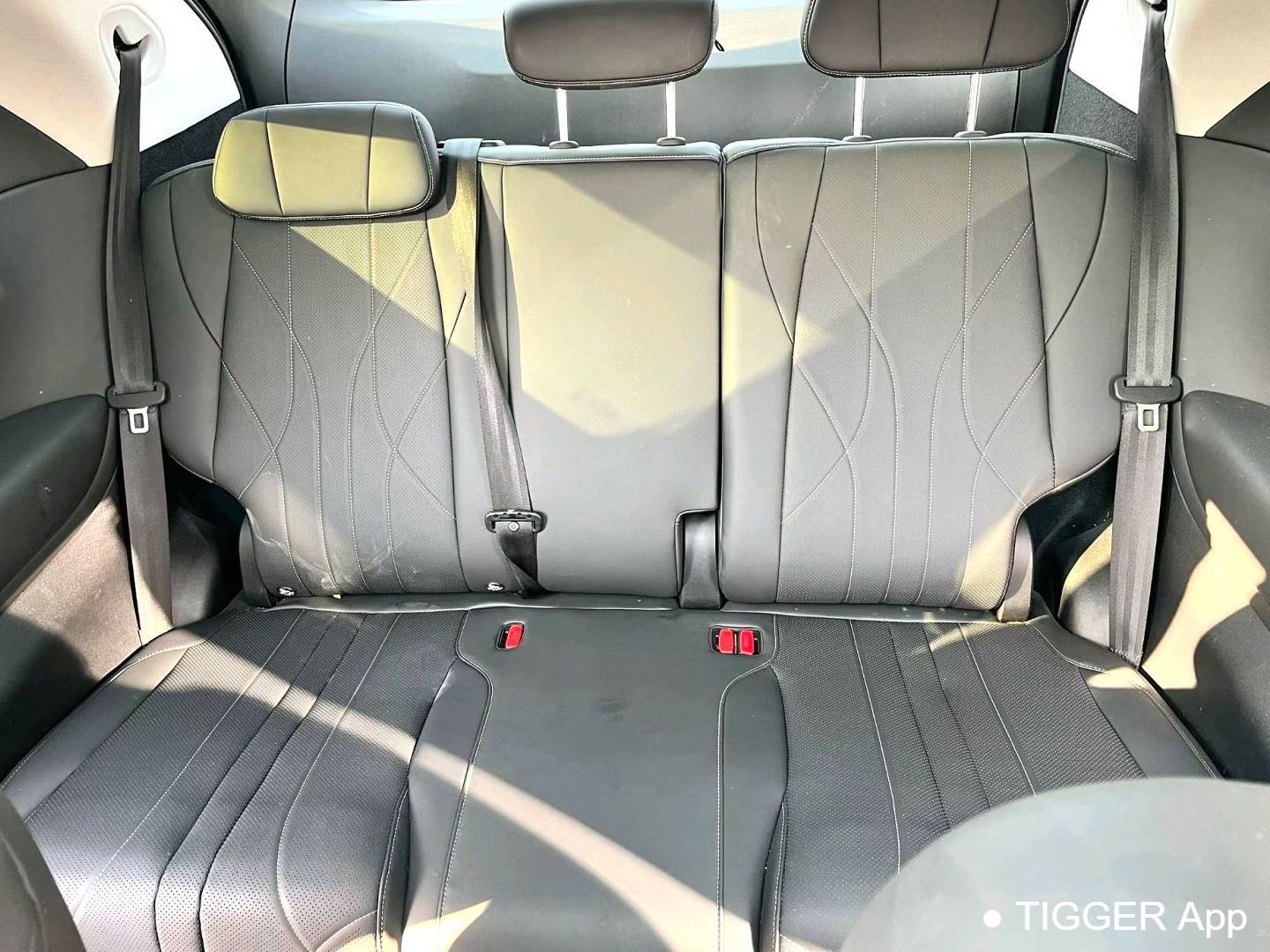 XPENG 2024 X9 640 four-wheel drive high-performance Max automatic transmission