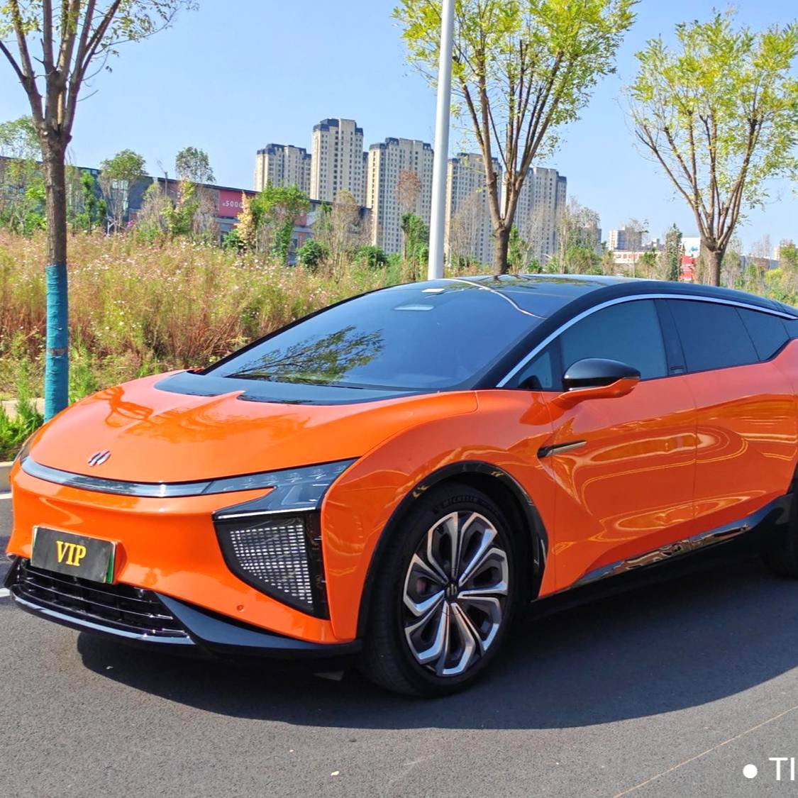 HiPhi 2021 HiPhi X Flagship Edition 6-seater automatic transmission Used Car